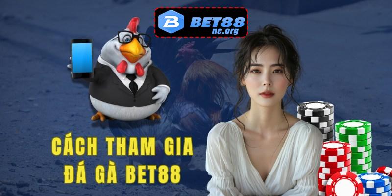 Anh em cần tạo tài khoản trước khi tham gia chơi đá gà