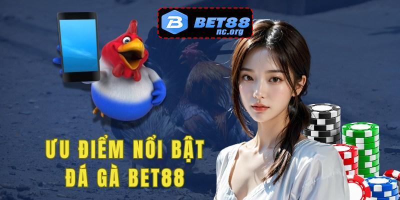 Game đá gà của Bet88 sở hữu nhiều ưu điểm nổi bật