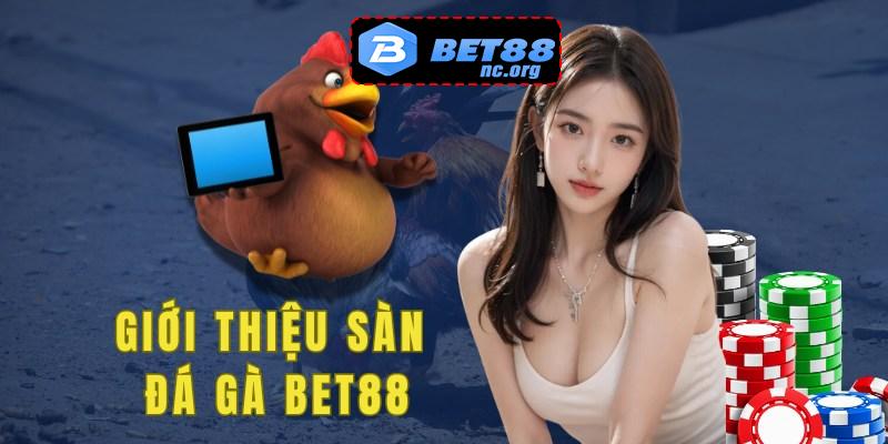 Giới thiệu sơ lược về sân chơi đá gà của Bet88