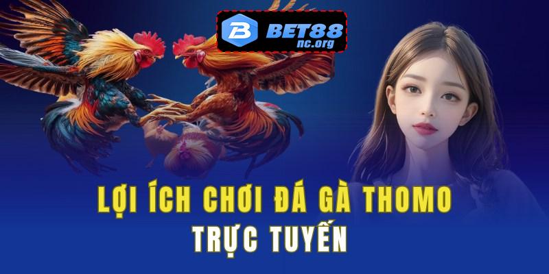 Lợi ích khi đặt cược đá gà Thomo trực tuyến 