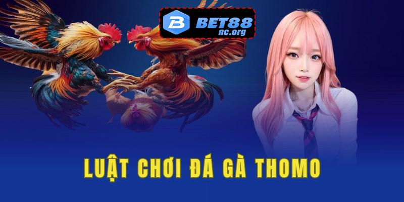 Luật chơi và các tính điểm trong đá gà Thomo